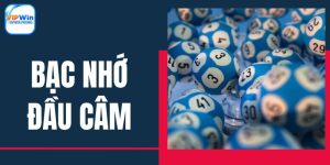 bac-nho-dau-cam-anh-dai-dien