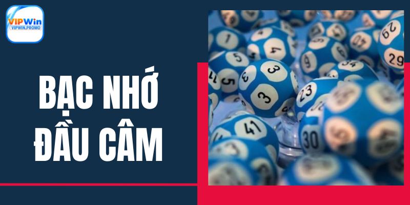 bac-nho-dau-cam-anh-dai-dien