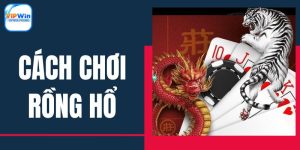 cach-choi-rong-ho-anh-dai-dien