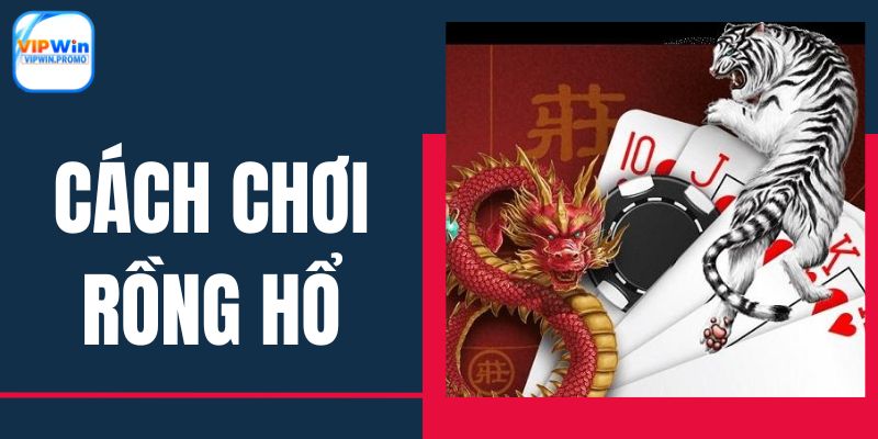cach-choi-rong-ho-anh-dai-dien