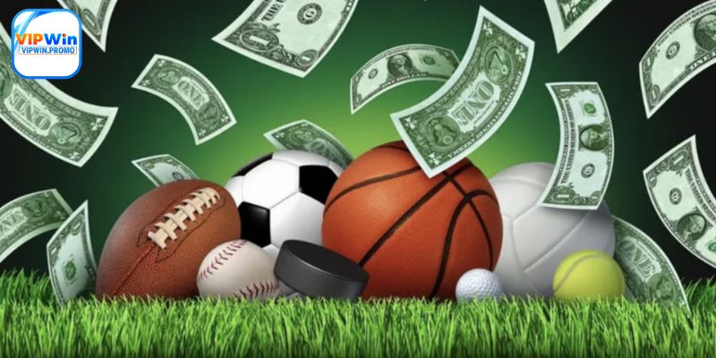 Cược thể thao là thế mạnh của Luckywin VIPWIN