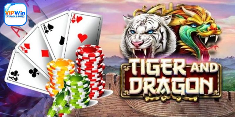 Đặt cược thông minh - 1 phần của cách chơi rồng hổ